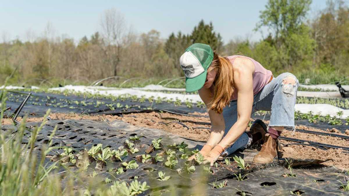 Le point de vue de trois jeunes agricultrices