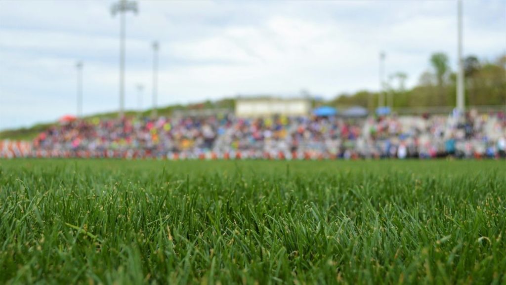 Sporsora veut unir les acteurs du sport pour des pratiques plus durables