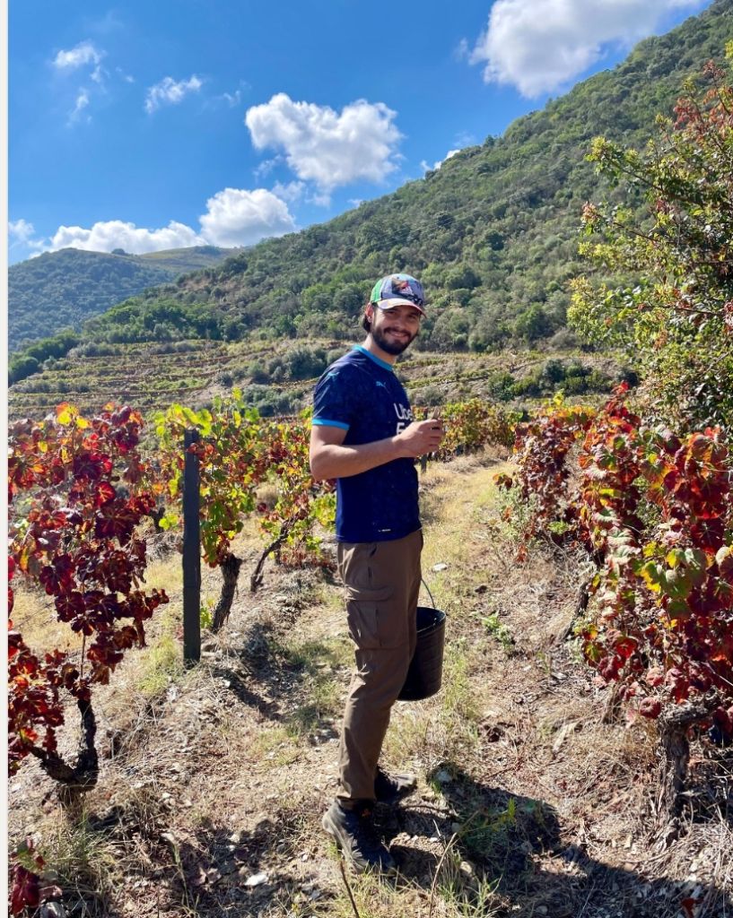 Reconversion pro : Dimitri est passé de cadre commercial à agriculteur