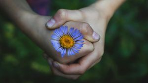 mains et fleur