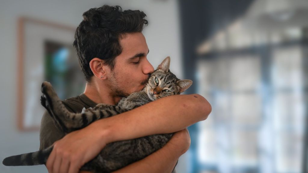 Homme et chat dans ses bras, il lui fait un bisous