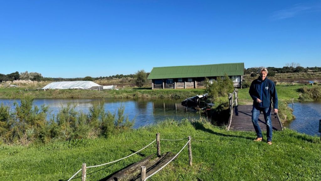 Le Parc des Salines : voyage au cœur des marais salants des Sables d’Olonne