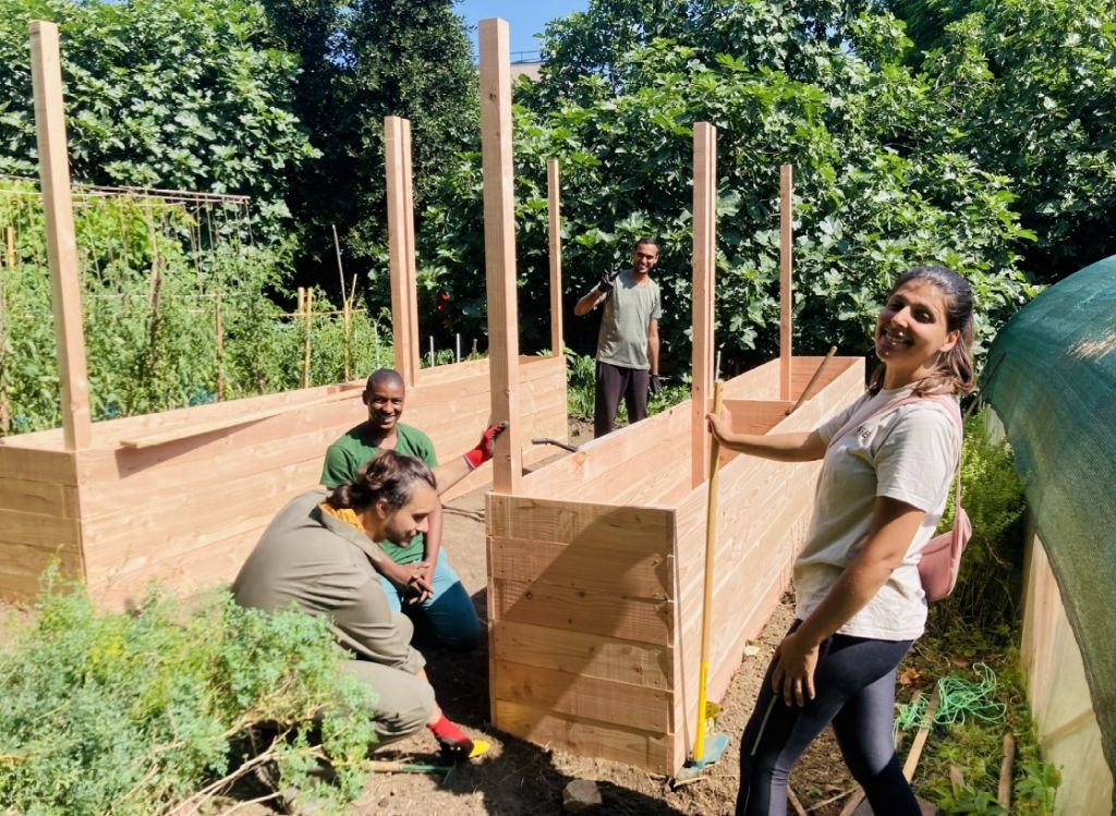 Les jardins partagés en ville, entre pédagogie et bien-être mental
