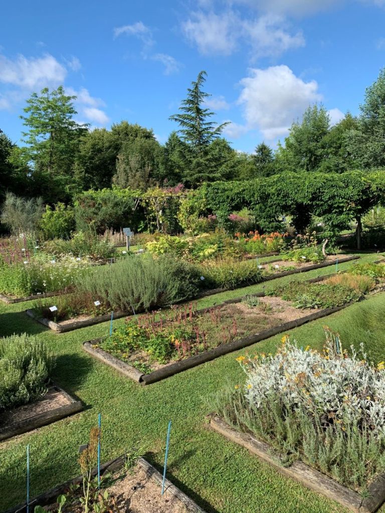 Milly-la-Forêt : immersion au cœur du Conservatoire des Plantes