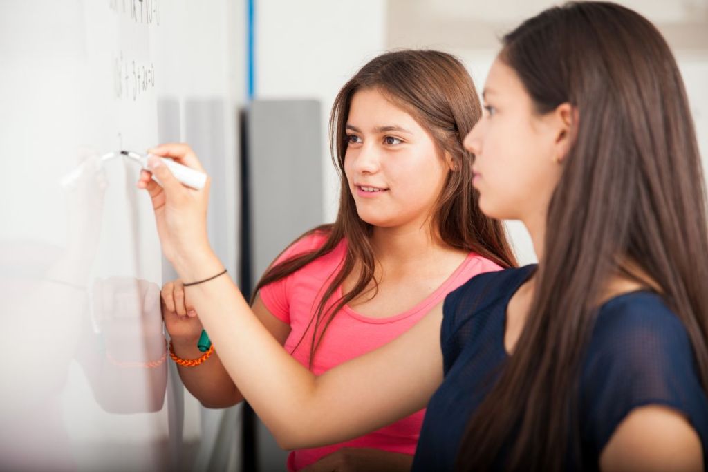 Plan « Filles et maths » : les propositions de l’association Elles bougent