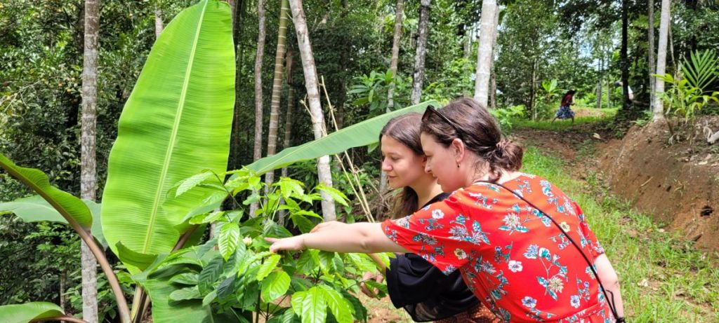 Cloé Lambard et Lucie Bedouet, co-gérantes de la société De la Terre à la Tasse.