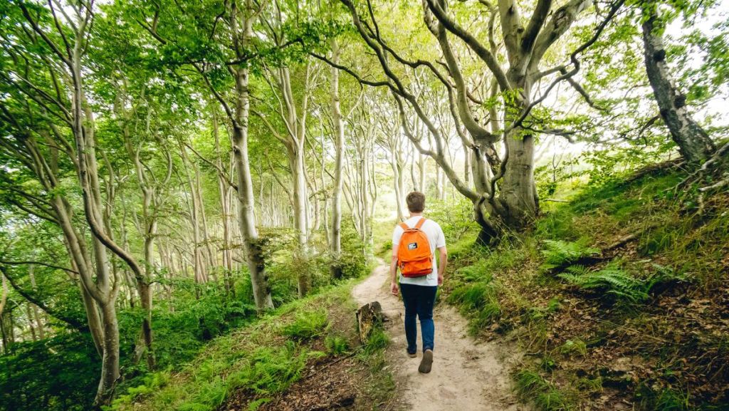 Une mère et son fils marchent 1500kms pour changer le regard sur le handicap