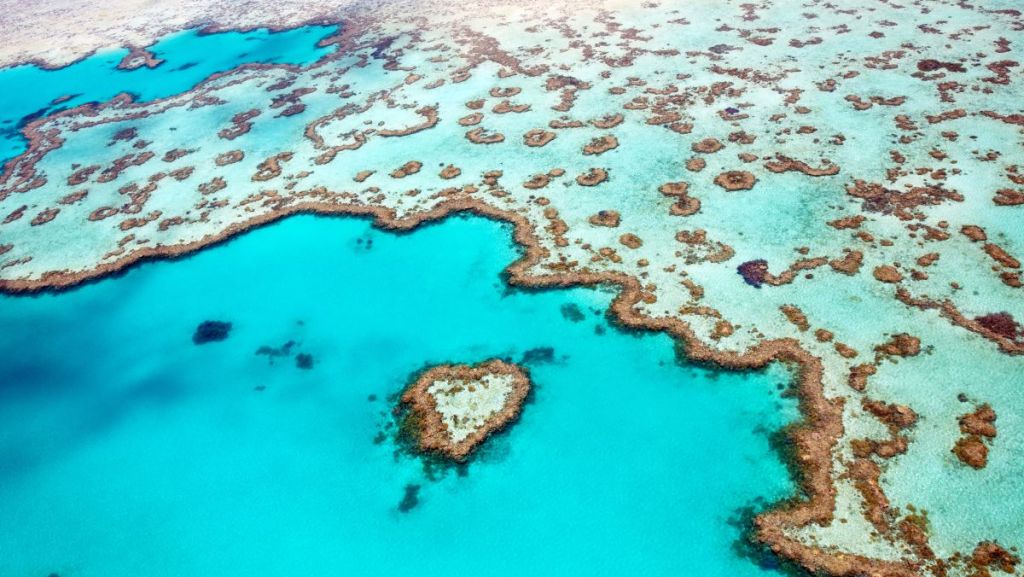 Scintillant sous la mer de corail limpide, la Grande Barrière de Corail, inscrite au patrimoine mondial de l’UNESCO.