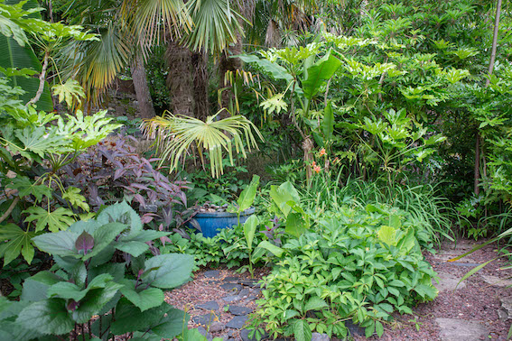 Jardin des Paradis à Cordes-sur-Ciel
