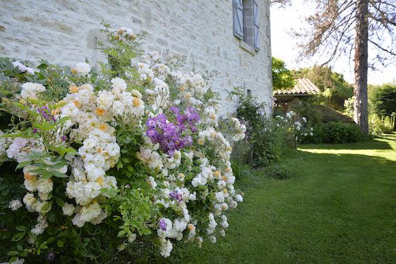 Jardin de Frescati