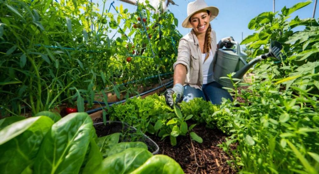 Jardinières dans son jardin