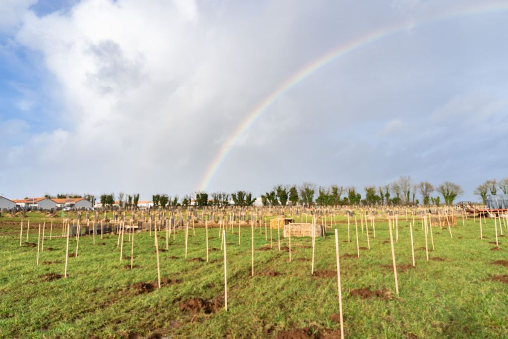 Créateurs de forêts : un métier au service de la biodiversité