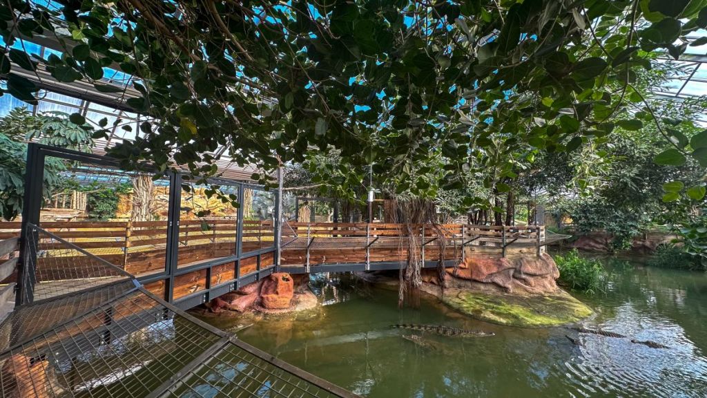 Drôme : à la découverte de la Ferme aux Crocodiles – Réserve Tropicale