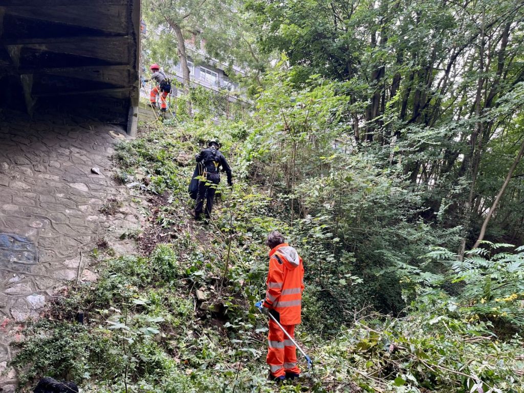 Paris : cette association utilise l’écologie comme levier d’insertion