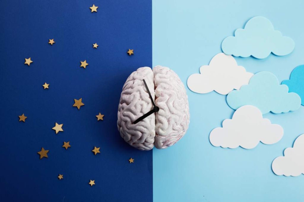 Illustration d'un cerveau comme horloge posé entre la nuit et le jour