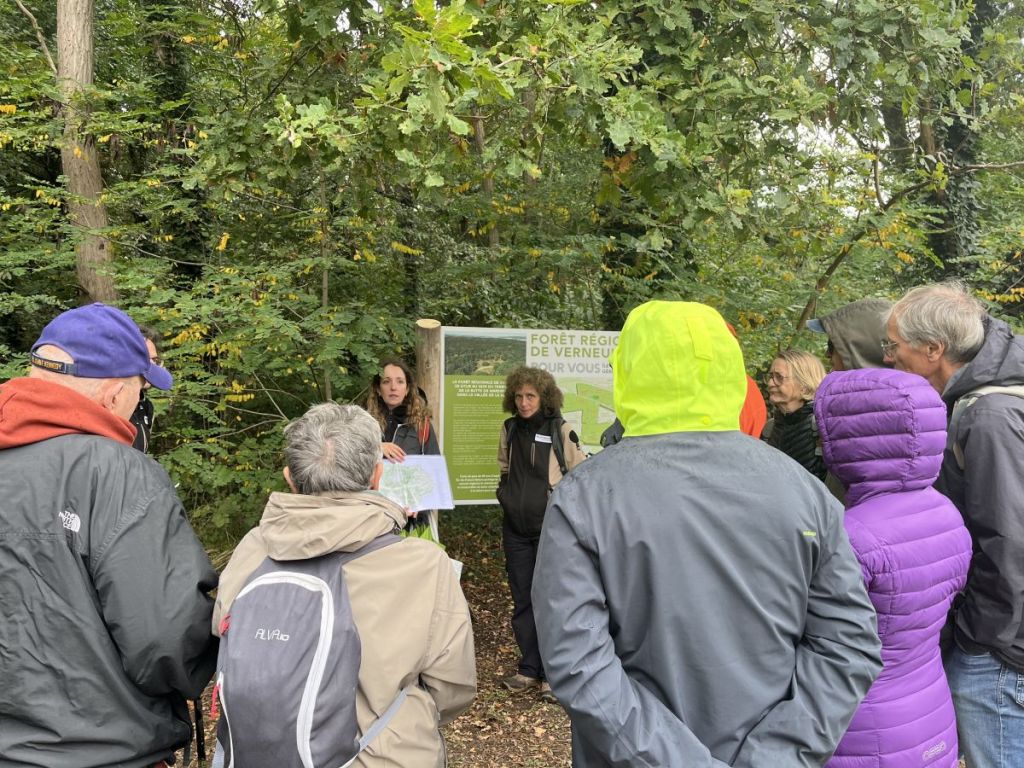Tous en forêt : un événement pour protéger notre patrimoine naturel