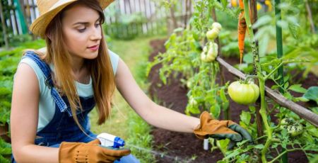 Jardinière qui arrose ses plantes