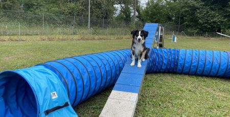 Agility Manager