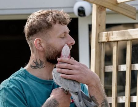Bretagne : François se bat contre la maltraitance des perroquets