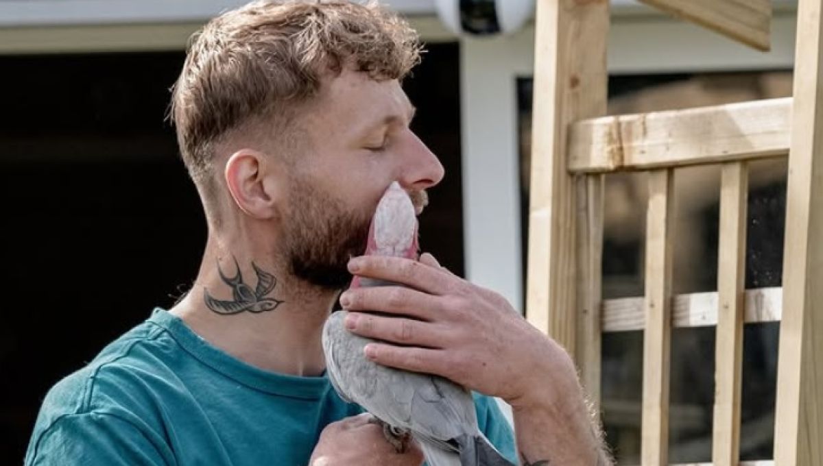 Bretagne : François se bat contre la maltraitance des perroquets