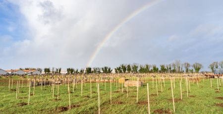 Créateurs de forêts : un métier au service de la biodiversité