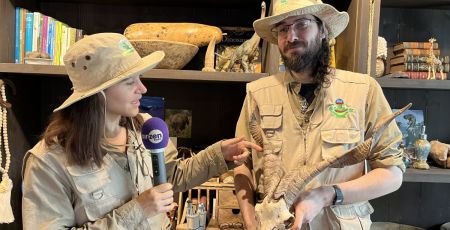 Découvrez le Monde de Noé : une expérience immersive unique à Paris