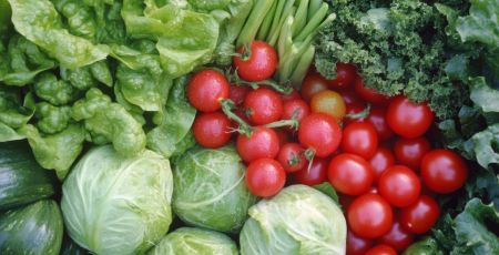 Chou, salade, courgette, tomate - crédit photo : Almaz via Adobe Stock
