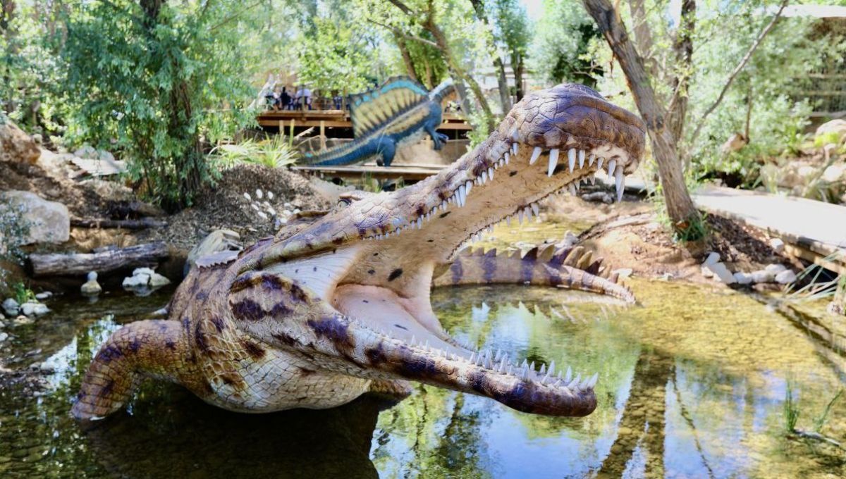 Drôme : à la découverte de la Ferme aux Crocodiles – Réserve Tropicale