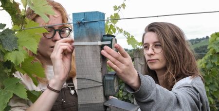 Every1counts, une plateforme de collecte et de suivi de données la biodiversité