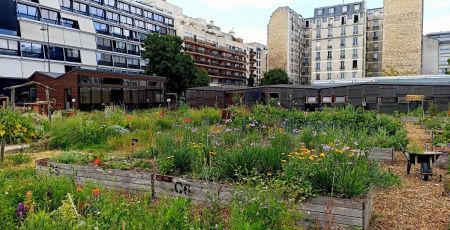 Vue de l'intérieur de la Ferme de Charonne. Au premier plan, on visualise de la végétation, au second, des immeubles du 20e arrondissement
