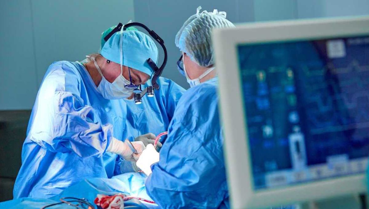 Gisèle Pelicot, transplantation, Aya Nakamura… Les cinq infos positives du jour