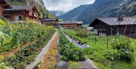 La cordée de légumes : cultiver des fruits et légumes en bio à 1000m d’altitude