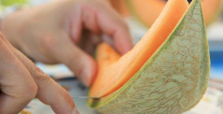 Découpe de melon