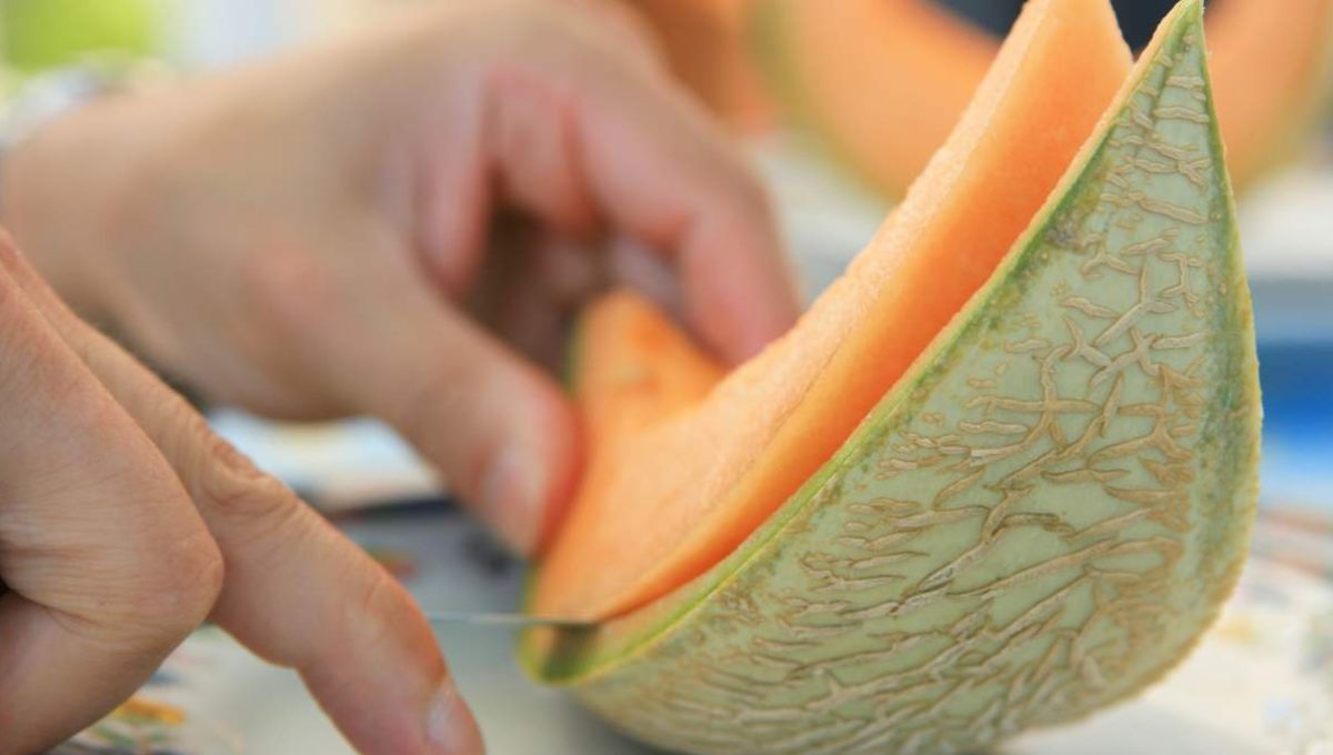 Découpe de melon
