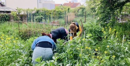 Les jardins partagés en ville, entre pédagogie et bien-être mental