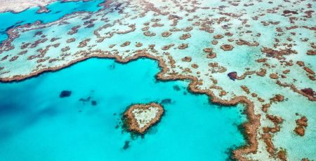 Scintillant sous la mer de corail limpide, la Grande Barrière de Corail, inscrite au patrimoine mondial de l’UNESCO.