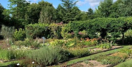 Milly-la-Forêt : immersion au cœur du Conservatoire des Plantes