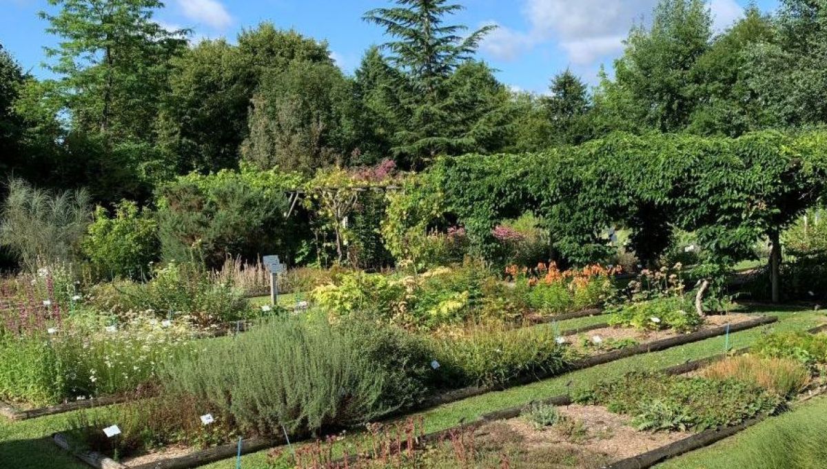 Milly-la-Forêt : immersion au cœur du Conservatoire des Plantes