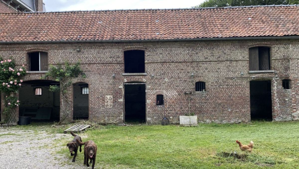 Nord : un restaurant fermier va ouvrir sur un jardin bio en permaculture