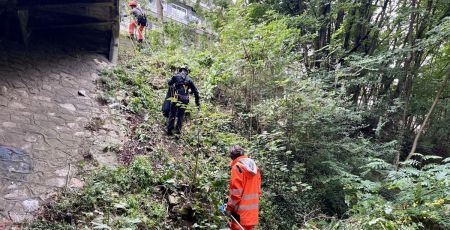 Paris : cette association utilise l’écologie comme levier d’insertion