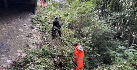 Quand l’écologie urbaine devient un outil d’insertion professionnelle