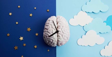 Illustration d'un cerveau comme horloge posé entre la nuit et le jour