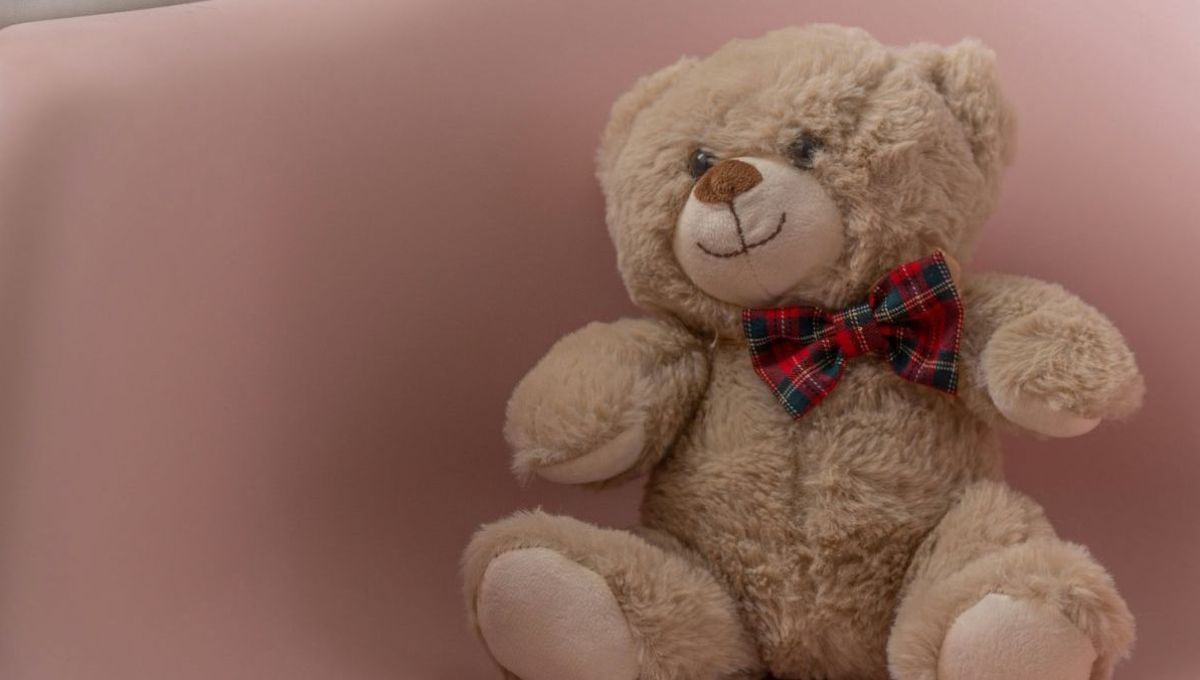 Teddy the Bear