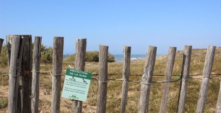 Tourisme : l’ONF sensibilise le public à la préservation des dunes