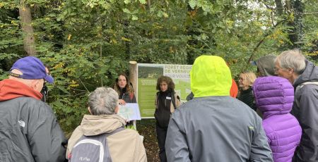 Tous en forêt : un événement pour protéger notre patrimoine naturel