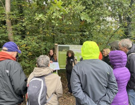 Tous en forêt : un événement pour protéger notre patrimoine naturel