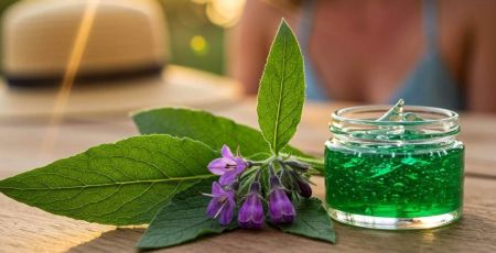 Consoude (fleur, plante et extrait)