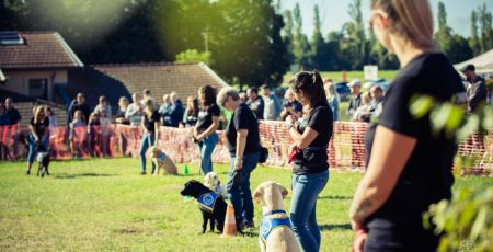 Une journée porte ouverte pour sensibiliser au rôle des chiens guides