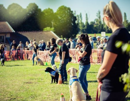 Une journée porte ouverte pour sensibiliser au rôle des chiens guides