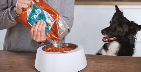 Rendre plus transparent le secteur du Petfood avec QRU